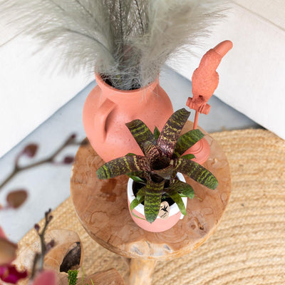Kolibri Home | Pitcher vaas - Terracotta cementen vaas - voor droogbloemen