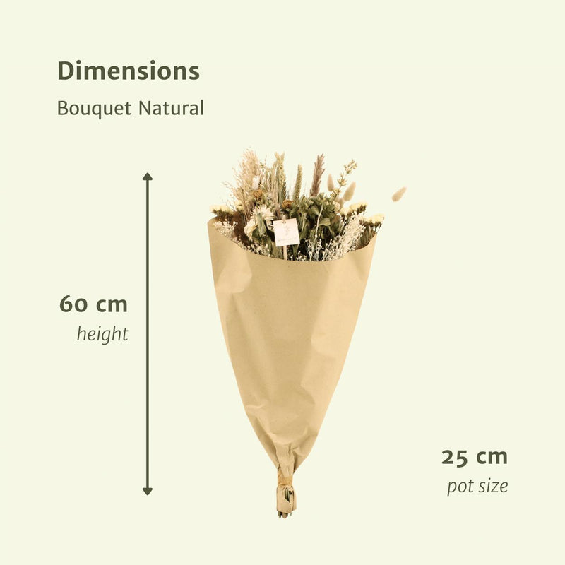 Bouquet Natural - Droogboeket - 60cm - Ø25