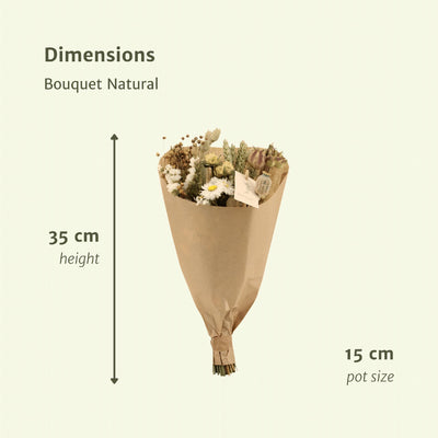 Bouquet Natural - Droogboeket - 35cm - Ø15