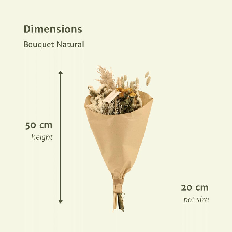 Bouquet Natural - Droogboeket - 50cm - Ø20